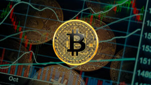 Bitcoin HODL Record: Illiquid Supply Reaches 14M BTC as Bull Run Accelerates