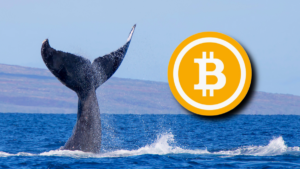 On-Chain Data Shows Strategic Whale Selling as BTC Consolidates