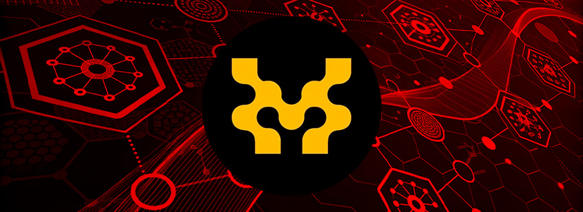 What is the Movement Network?