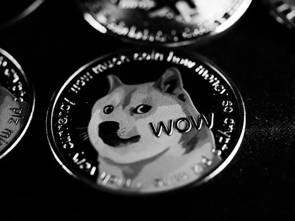 Dogecoin DOGE Whales
