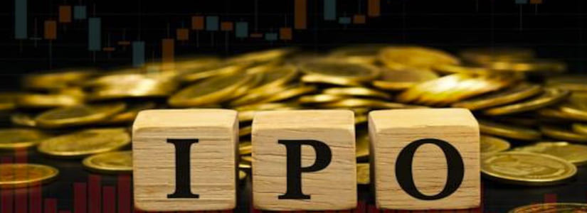 Operational and Strategic Challenges of an IPO