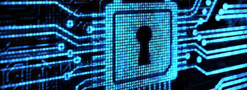 The True Role of Privacy Coins