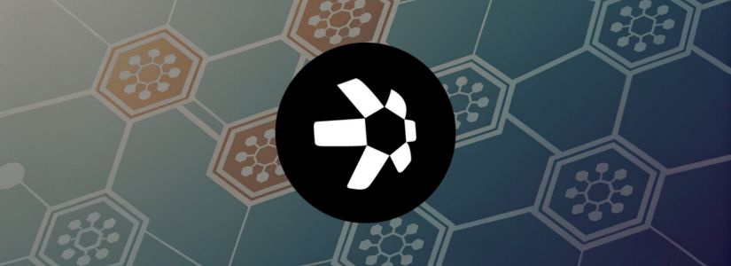 How Does Quant Work?