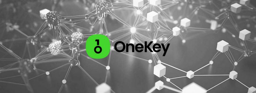 YZi Labs Invests in Open-Source Wallet Firm OneKey to Boost Web3 Security