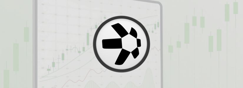 What is the Quant Token?