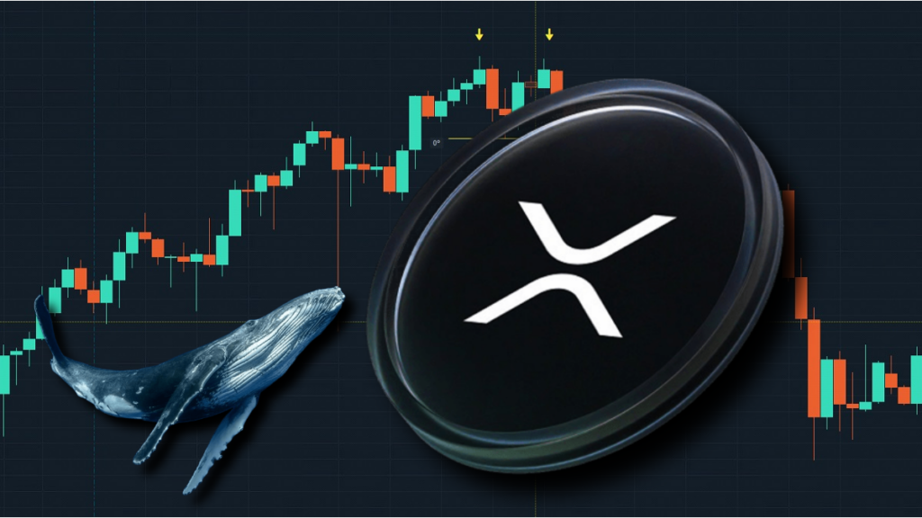 XRP Sees Record Whale Activity and Daily Users as Institutional Momentum Grows