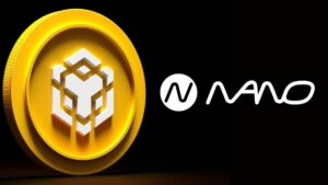 Another Company Joins the BNB Frenzy: Nano Labs Plans $500M Holdings