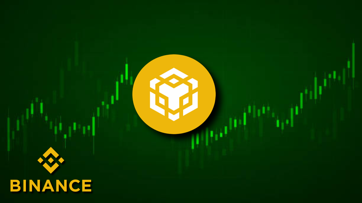 BNB Sets New All-Time High—Bull Run Just Starting?