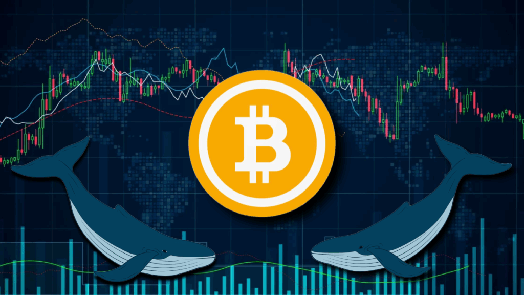 Two Bitcoin Whales Just Moved $2.18B After 14 Years of Dormancy!