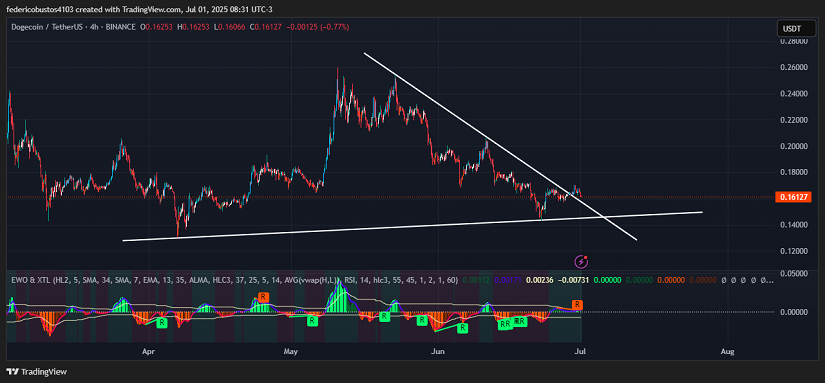 Chart 1: DOGE