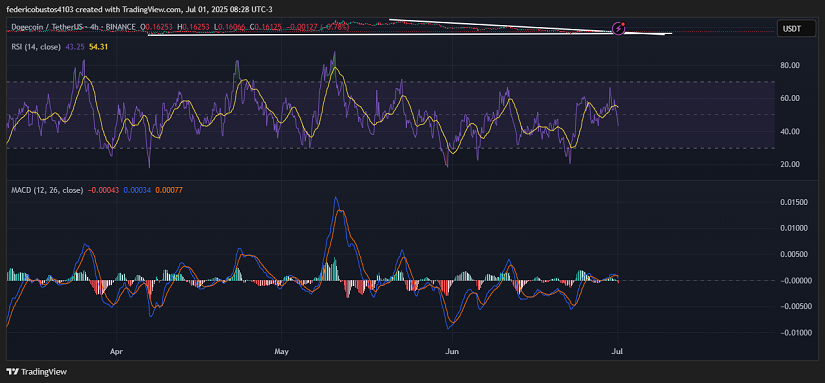 Chart 2: DOGE