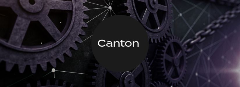 How Does Canton Network Work?