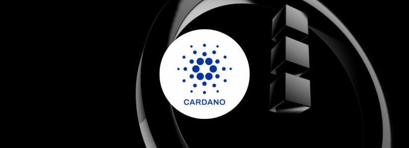 The Role of Cardano in Midnight Network?