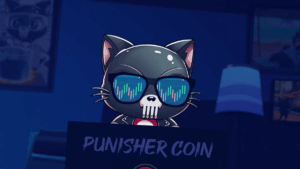 Punisher Coin Make Money