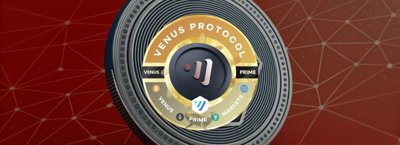 What Makes the Venus Protocol Standout?