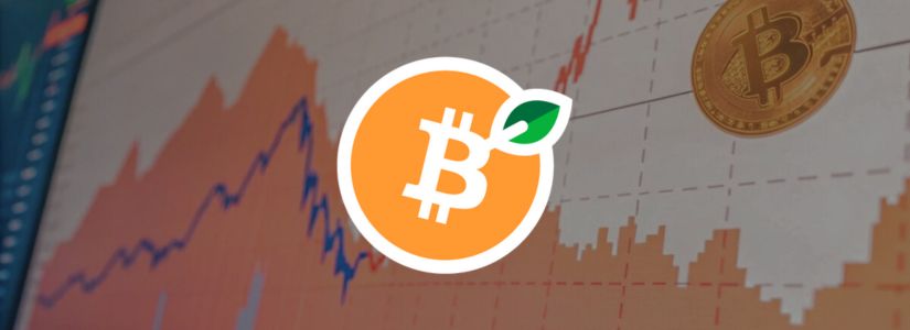 What is the RBTC Token?