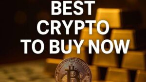 hexydog best crypto