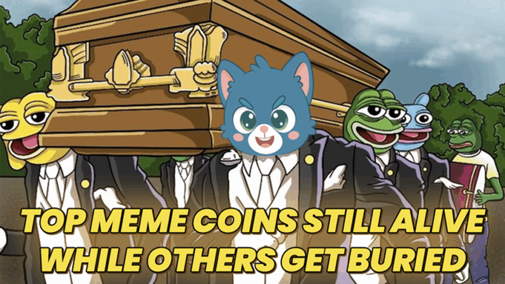 top new meme coins to buy and hold for long term, Troller Cat, TCAT presale, Floki crypto, Brett token, Popcat meme coin, best meme coins 2025, meme coin staking, cat meme crypto, crypto ROI meme coins.