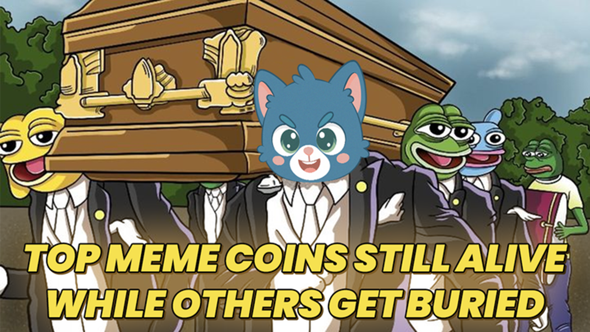 top new meme coins to buy and hold for long term, Troller Cat, TCAT presale, Floki crypto, Brett token, Popcat meme coin, best meme coins 2025, meme coin staking, cat meme crypto, crypto ROI meme coins.
