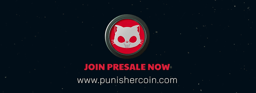 punisher coin site