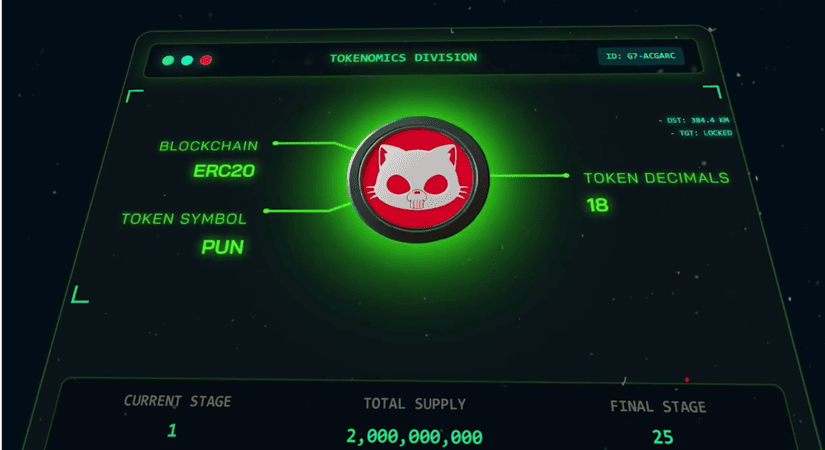 punisher coin tokenomics