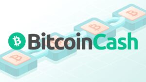 Bitcoin Cash (BCH): The Key to Fast and Secure Payments