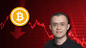 CZ Warns Treasury Firms Could Collapse in Next Bear Market Despite Bullish Outlook