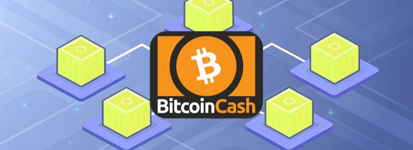 How Does Bitcoin Cash Work?