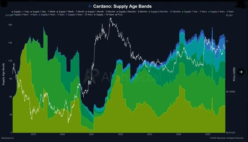 cardano
