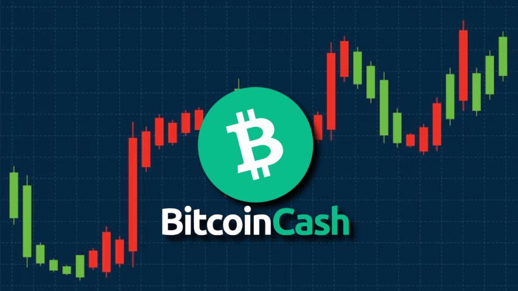 TECHNICAL ANALYSIS OF $BCH PRICE: On the Verge of Breaking the Bullish Channel and Testing Support at $500?
