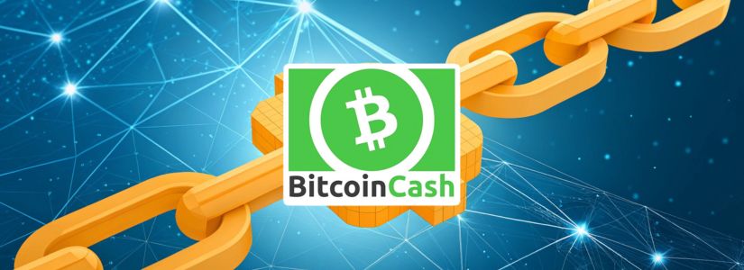 What is Bitcoin Cash (BCH)?