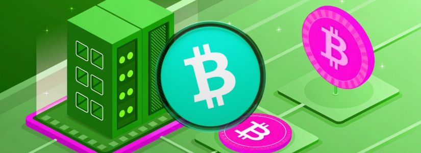 What is Bitcoin Cash (BCH) Cryptocurrency