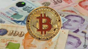 bitcoin recovery