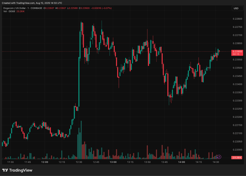 dogecoin 