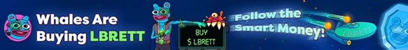 layerbrett