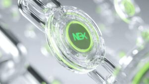 nexchain presale