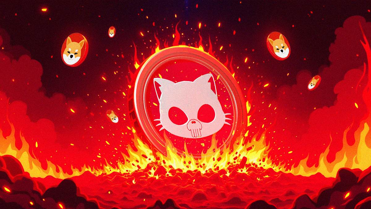punisher pun coin shib