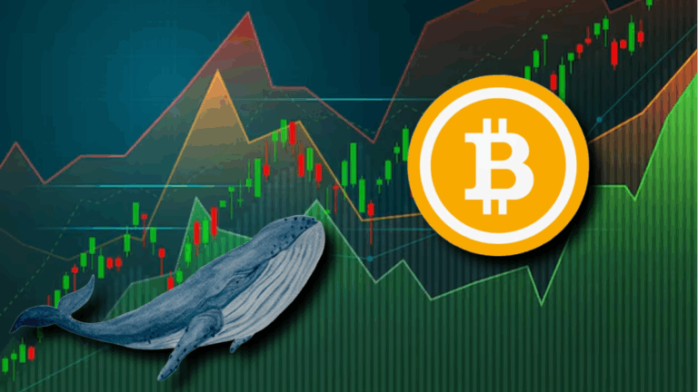 Bitcoin whale