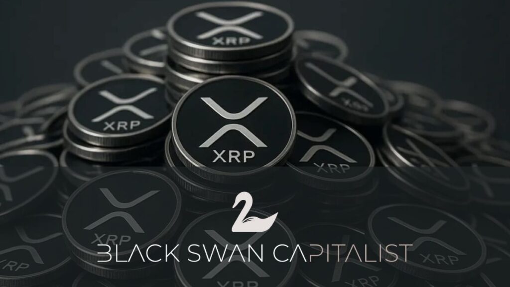 Black Swan Capitalist Founder: XRP Could Restructure Trillions in Global Debt