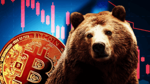 Critical Factors Driving the Crypto Market Down