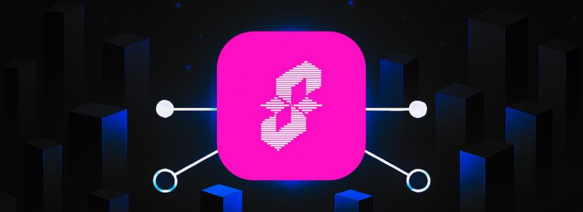 How Does Succinct Labs Work?