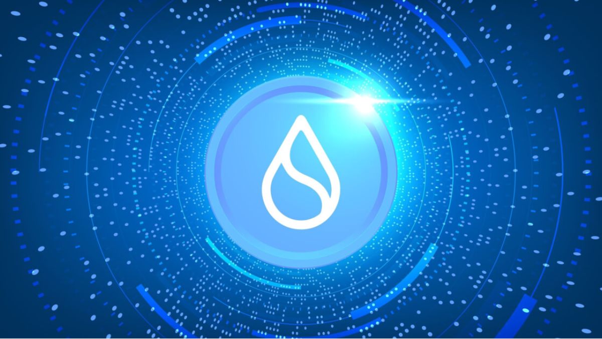 SUI Holds Key Support Level and Eyes Breakout Toward $20 Target