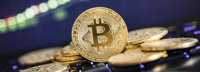 $21B Wipeout, Yet Bitcoin Stays Green