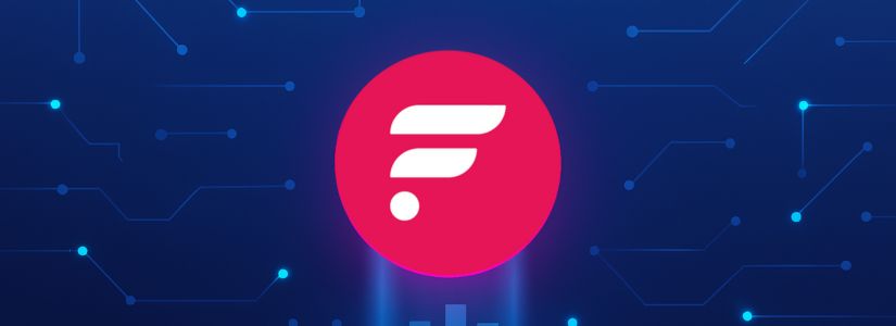 What is the FLR Token?