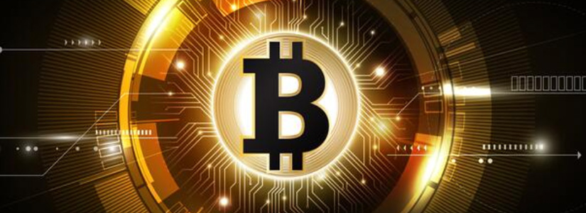 Tom Lee and Peter Brandt issue a Bitcoin crash warning. Analysts fear a 50% correction despite ETFs. What's next for BTC?
