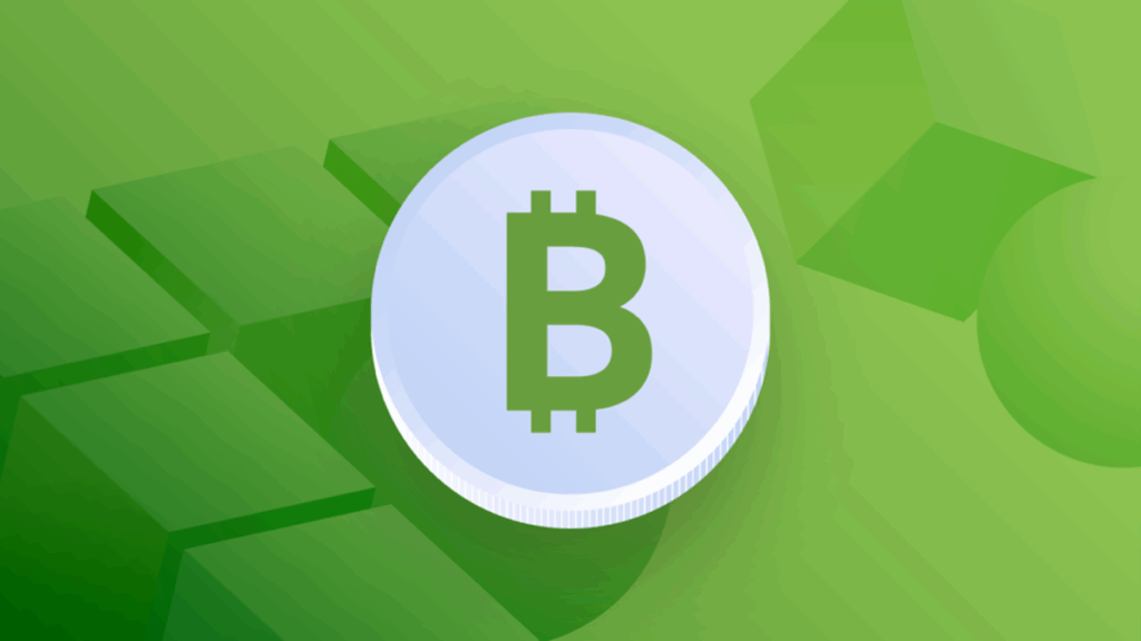 Whales Accumulate Bitcoin Cash, Price Steadies Above $500