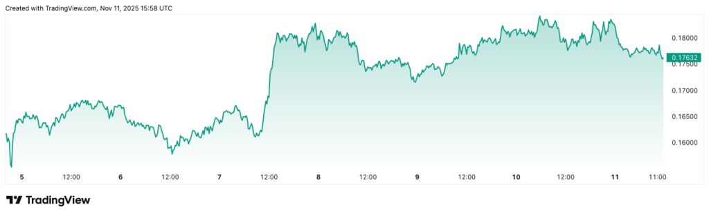 DOGEUSD_2025-11-11_11-58-10 (1)