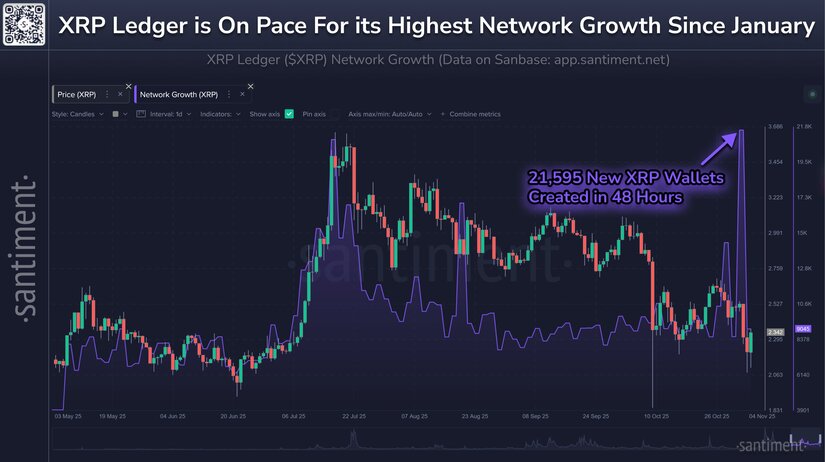 XRP-Ledger-Activity-Surges-to-8-Month-Peak-With-Regulatory-Bill-in-Motion
