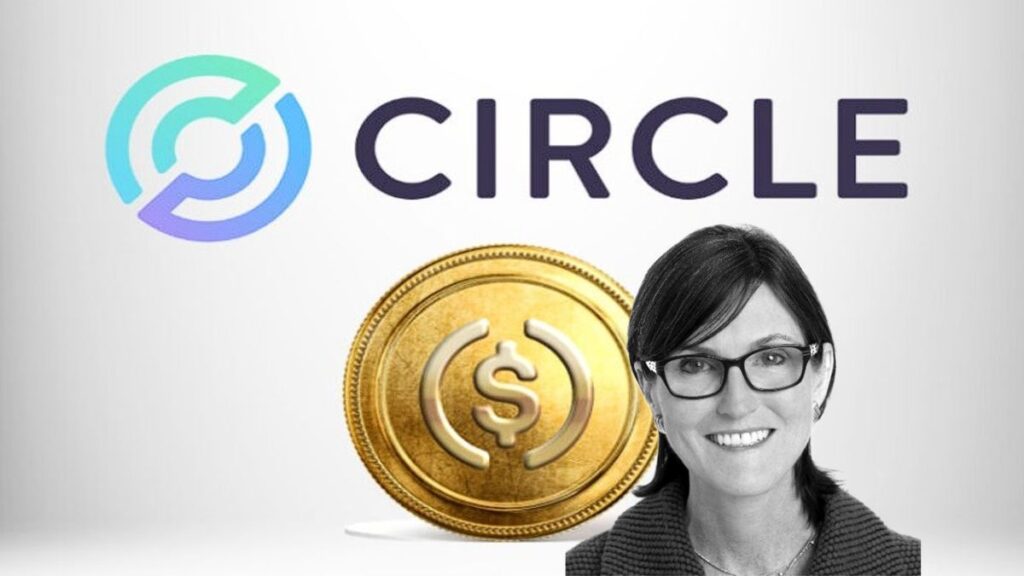 Cathie Wood’s Ark Invest Buys $30M Circle Stake as Shares Slide