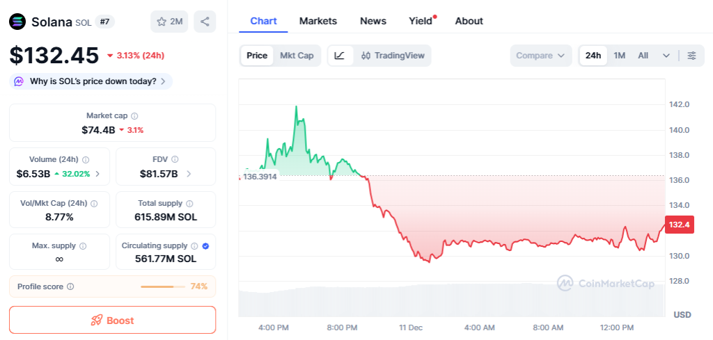 SOL is priced at $132.45 with a 3.13% drop in the past 24 hours